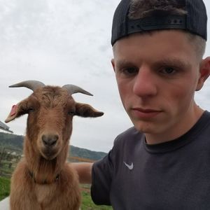 Meet your Posher, Dietrich